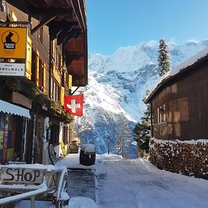 Pension Gimmelwald